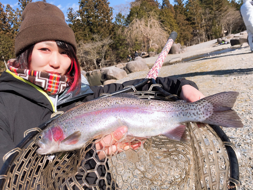 ニジマスの釣果