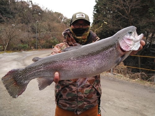 ニジマスの釣果