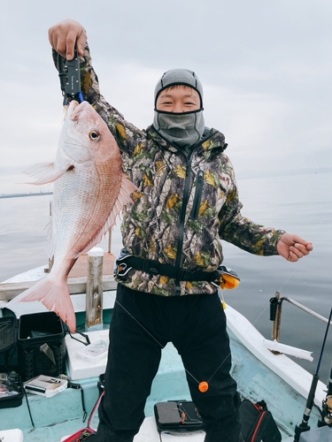 マダイの釣果