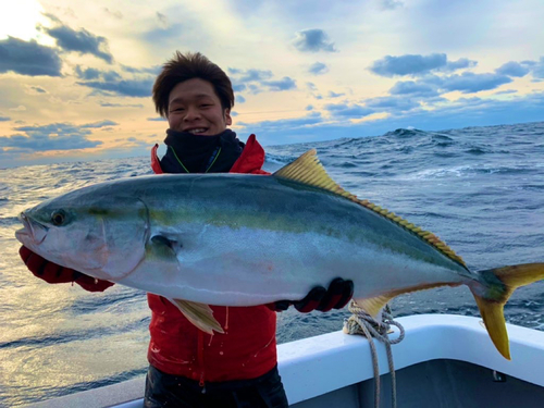 ブリの釣果