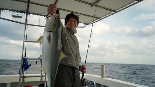 ブリの釣果