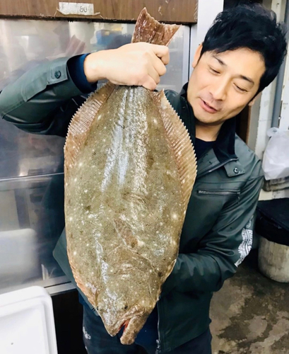 ヒラメの釣果