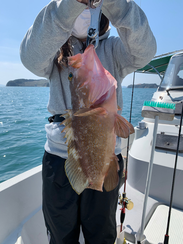 アコウの釣果