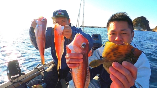 アマダイの釣果