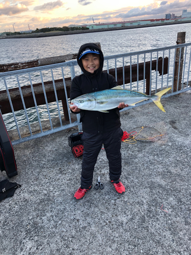 メジロの釣果