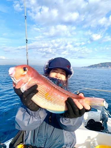 アマダイの釣果