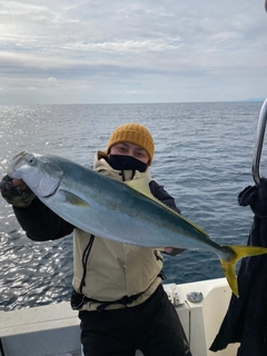 メジロの釣果