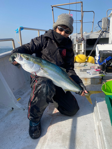 ブリの釣果