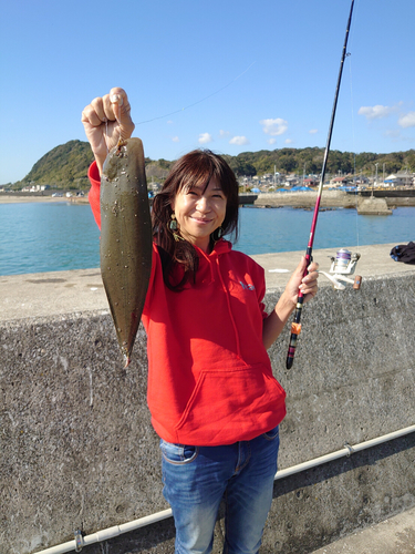 シタビラメの釣果