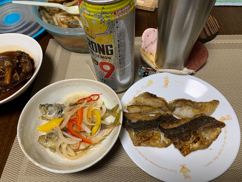 メバルの釣果