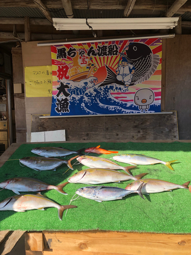 シオの釣果