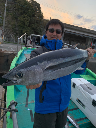 ビンチョウマグロの釣果