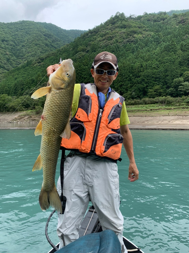 コイの釣果