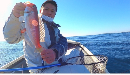 アマダイの釣果