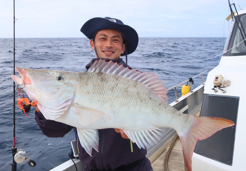 キツネフエフキの釣果