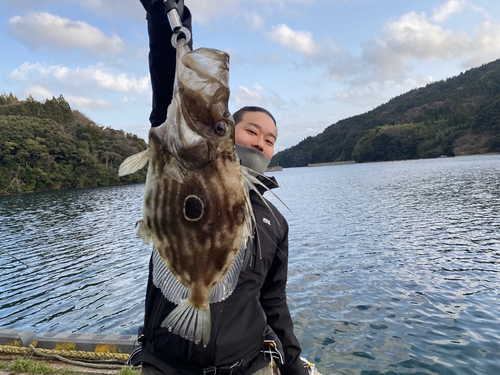 マトウダイの釣果