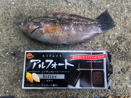 釣果