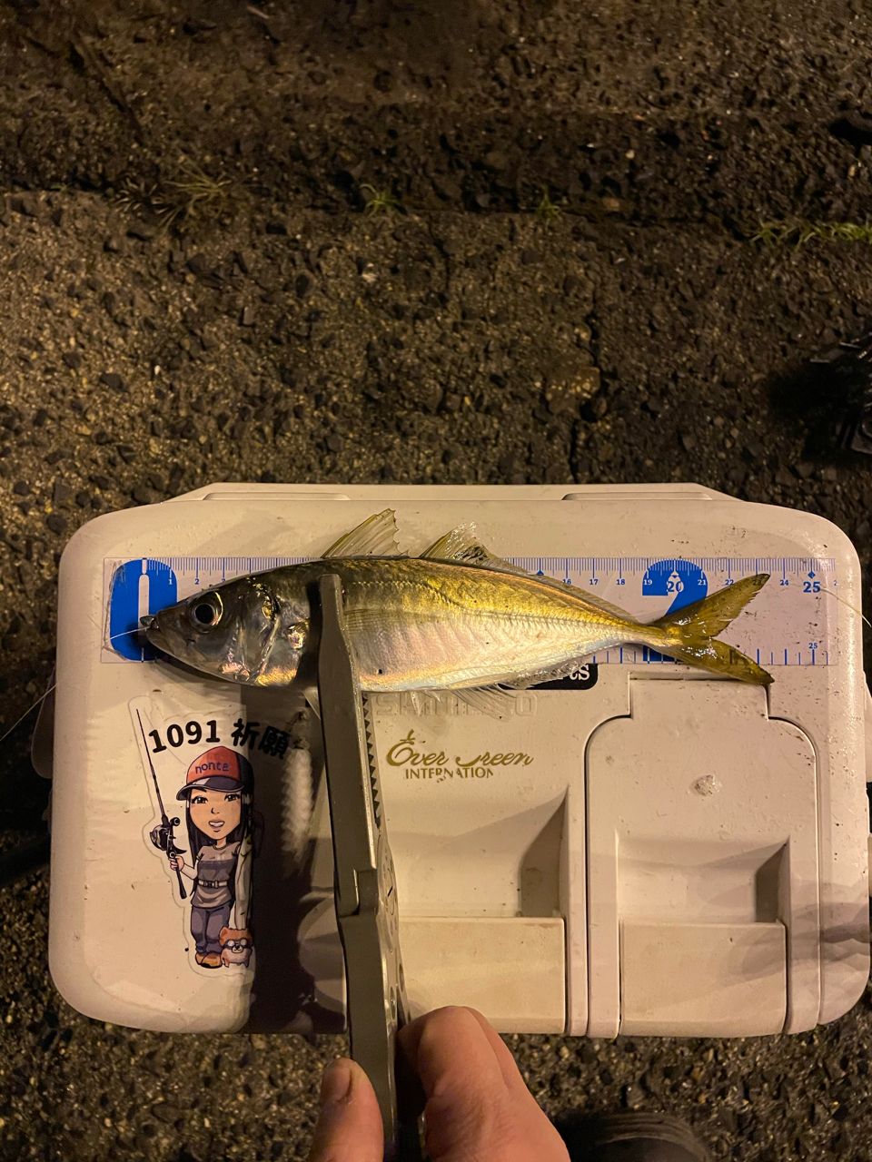 アジ
