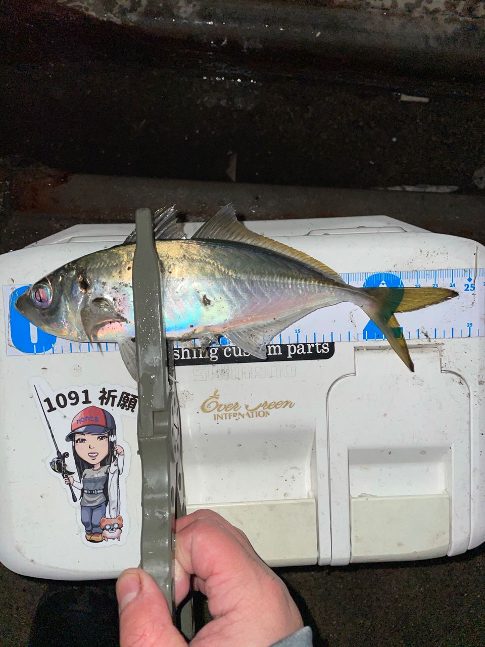 アジ