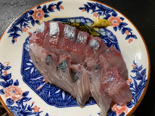 イナダの釣果