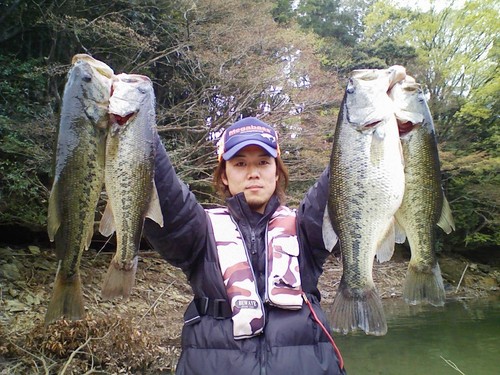 ブラックバスの釣果