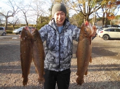 ブラウントラウトの釣果