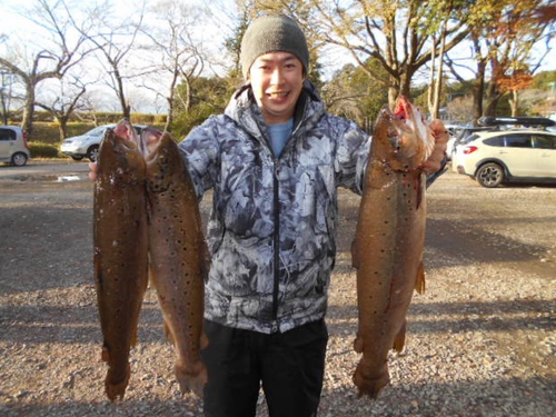 ブラウントラウトの釣果