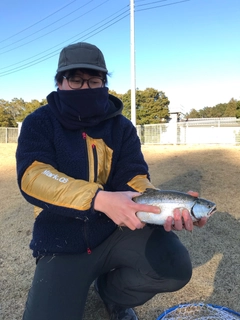 サクラマスの釣果