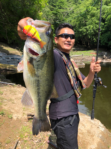 ラージマウスバスの釣果