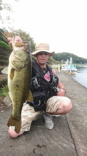 ブラックバスの釣果