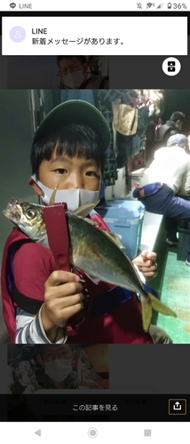 アジの釣果