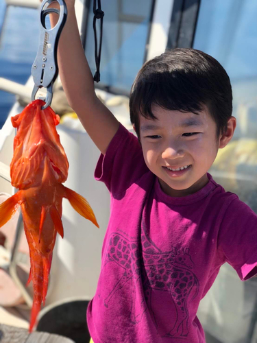 アカミーバイの釣果