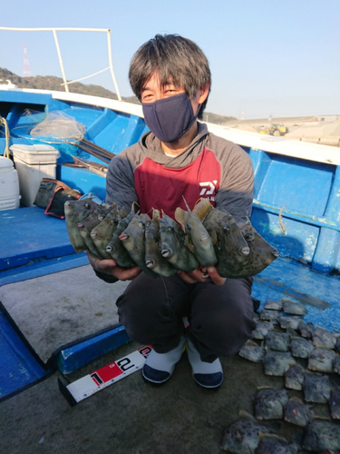 カワハギの釣果