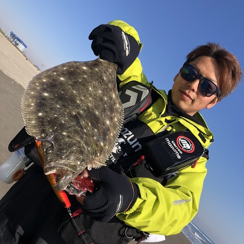 ヒラメの釣果