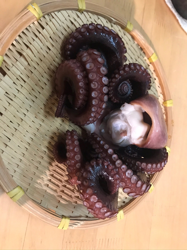 釣果