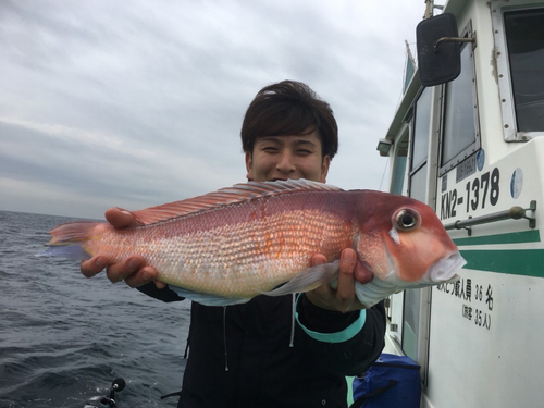 アマダイの釣果