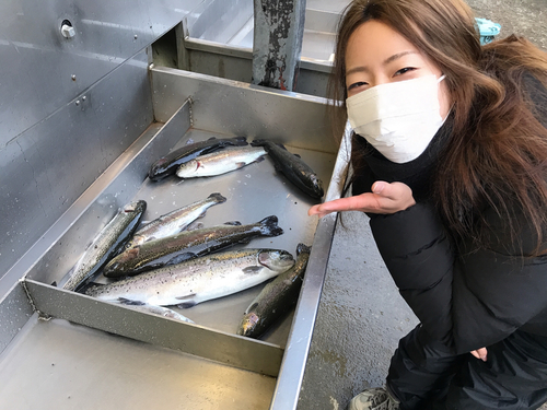 ニジマスの釣果