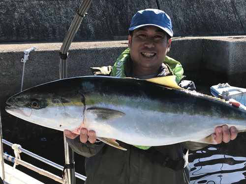 ブリの釣果