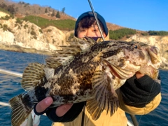 ベッコウゾイの釣果