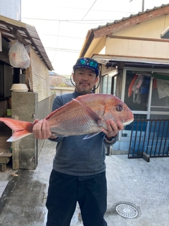 マダイの釣果