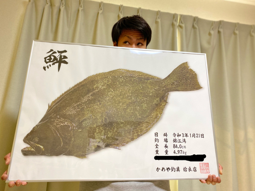 ヒラメの釣果