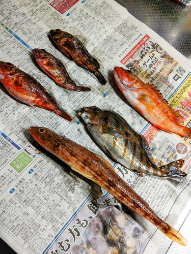 オキエソの釣果