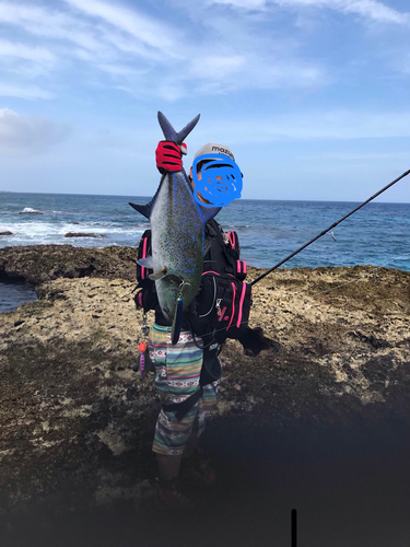 カスミアジの釣果