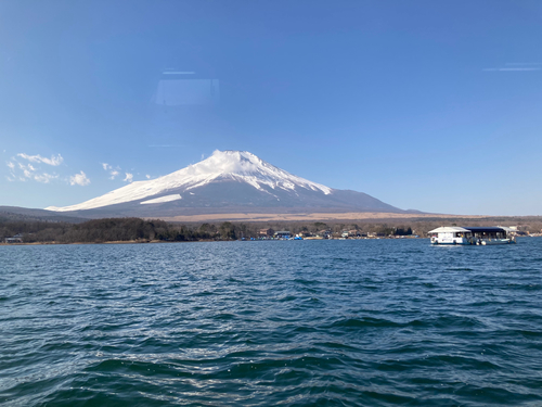 ワカサギの釣果