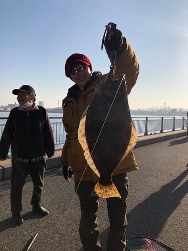 ヒラメの釣果