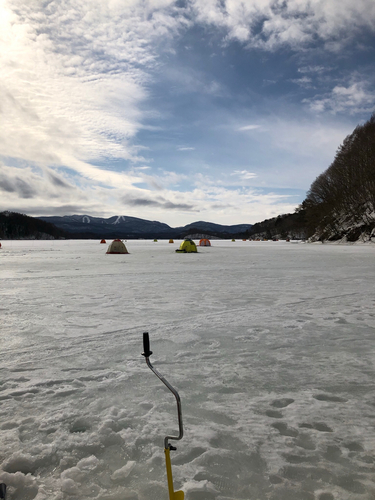 ワカサギの釣果