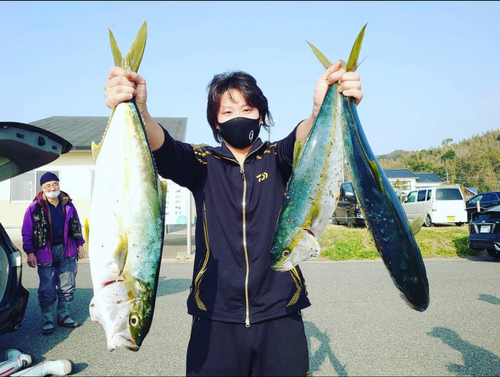 ヒラマサの釣果