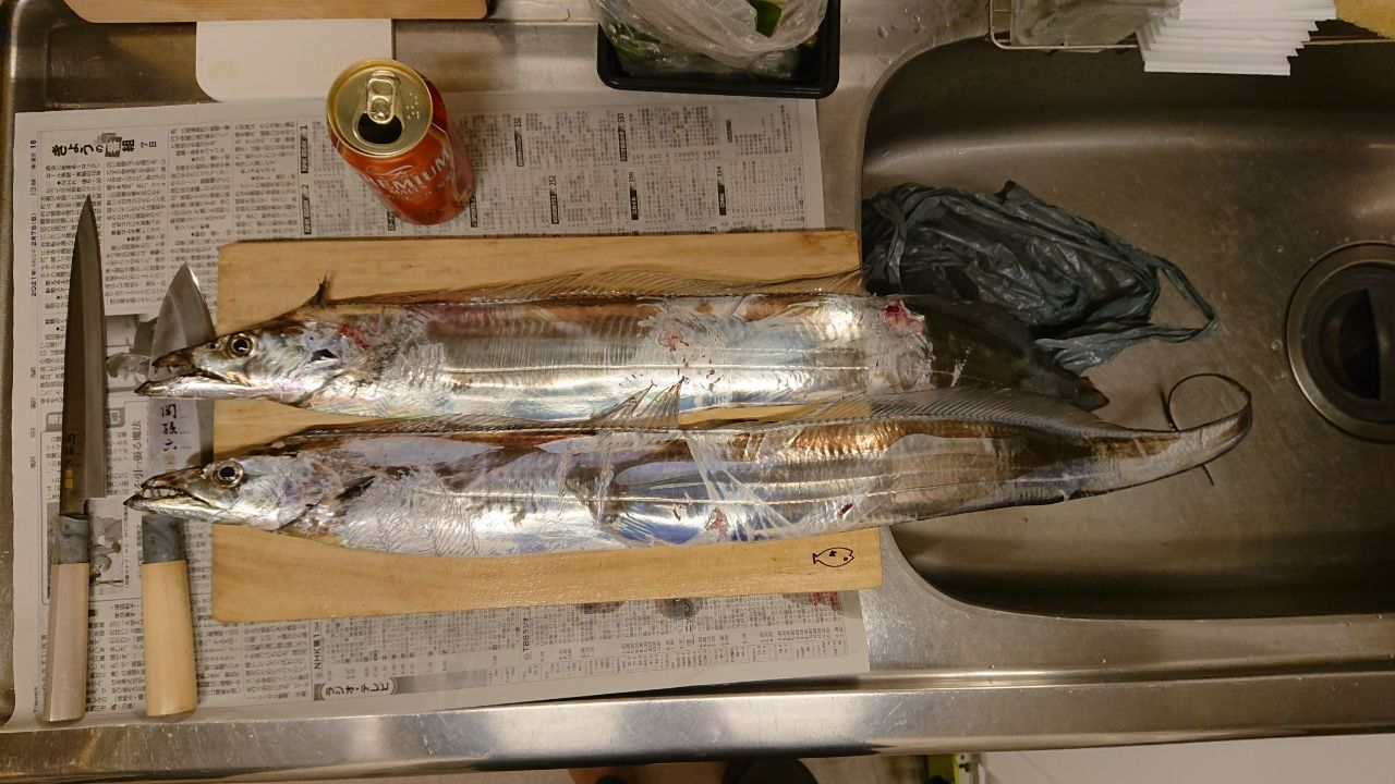 タチウオ