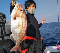 マダイの釣果