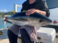 キハダマグロの釣果